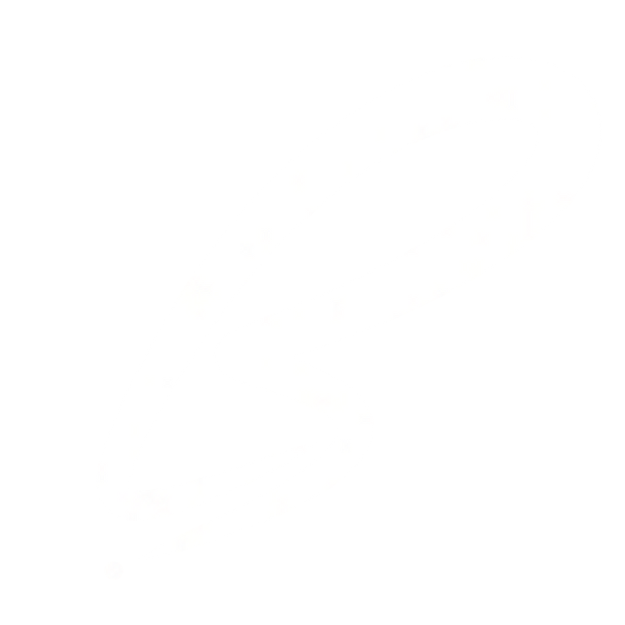 Boostrpacks